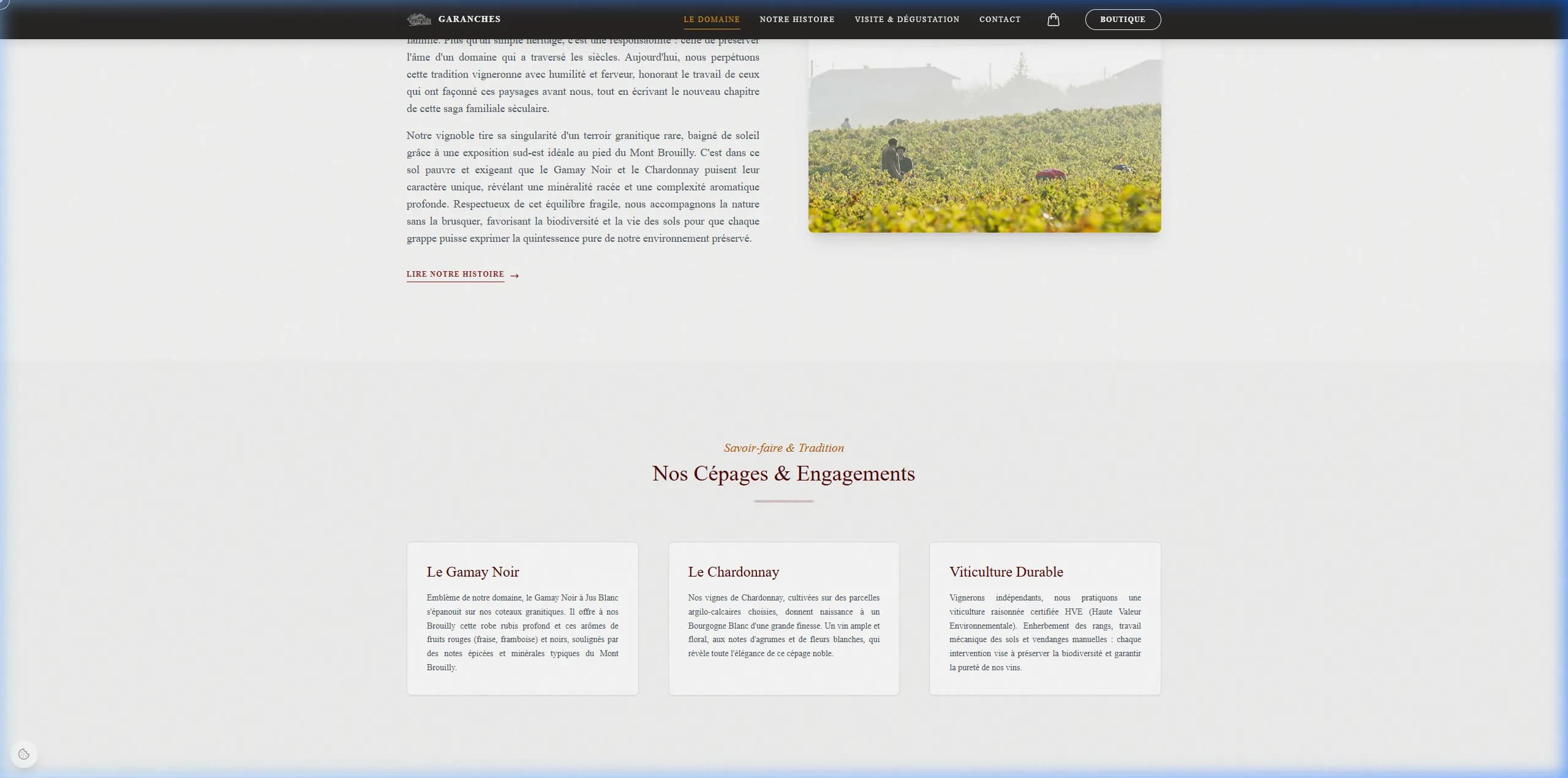 E-Commerce de Vins Premium screenshot 3